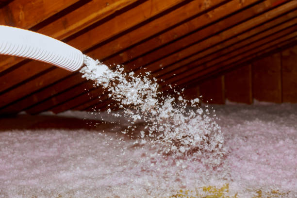 Best Commercial Insulation in Southgate, FL